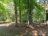 220 Ledbetter Road, Arden, NC 28704, MLS # 4172390 - Photo #19