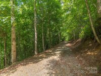 Pitch Fork Cove # 525, Waynesville, NC 28785, MLS # 4173006 - Photo #3