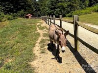 Curry Comb Trail, Waynesville, NC 28785, MLS # 4174862 - Photo #27