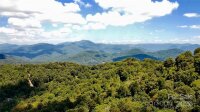 Curry Comb Trail, Waynesville, NC 28785, MLS # 4174862 - Photo #5