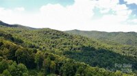 Curry Comb Trail, Waynesville, NC 28785, MLS # 4174862 - Photo #6