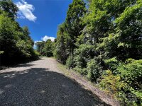 Curry Comb Trail, Waynesville, NC 28785, MLS # 4174862 - Photo #11