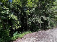 Curry Comb Trail, Waynesville, NC 28785, MLS # 4174862 - Photo #12