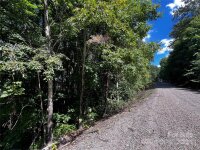 Curry Comb Trail, Waynesville, NC 28785, MLS # 4174862 - Photo #13