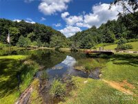 Curry Comb Trail, Waynesville, NC 28785, MLS # 4174862 - Photo #19