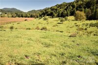 Hyatt Creek Road, Waynesville, NC 28786, MLS # 4176155 - Photo #33