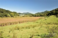 Hyatt Creek Road, Waynesville, NC 28786, MLS # 4176155 - Photo #24