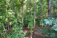 6 LaRue Court, Biltmore Lake, NC 28715, MLS # 4176289 - Photo #15