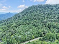 Walnut Creek Road, Marshall, NC 28753, MLS # 4176795 - Photo #3