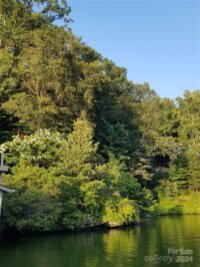 Chapel Point Road Unit 14, Lake Lure, NC 28746, MLS # 4177299 - Photo #34