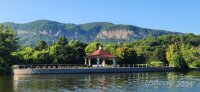 Chapel Point Road Unit 14, Lake Lure, NC 28746, MLS # 4177299 - Photo #19