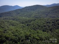 386 Wild Turkey Run, Black Mountain, NC 28711, MLS # 4177382 - Photo #41