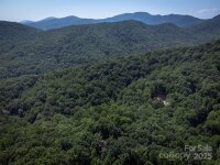 386 Wild Turkey Run, Black Mountain, NC 28711, MLS # 4177382 - Photo #43