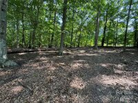 195 Agnew Road, Mooresville, NC 28117, MLS # 4177408 - Photo #14