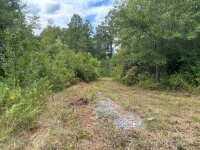 US 64 Highway, Rutherfordton, NC 28139, MLS # 4179635 - Photo #3