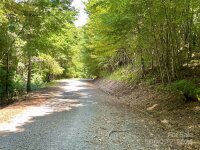 Slippery Rock Road, Waynesville, NC 28785, MLS # 4179955 - Photo #2