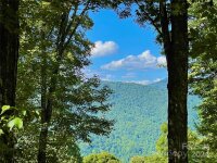 Slippery Rock Road, Waynesville, NC 28785, MLS # 4179955 - Photo #4