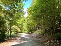 Slippery Rock Road, Waynesville, NC 28785, MLS # 4179955 - Photo #5