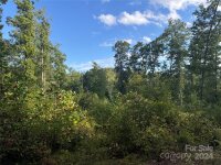 Settlers Lane, Waynesville, NC 28785, MLS # 4181028 - Photo #2