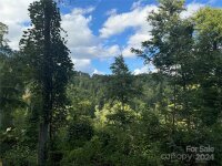 Settlers Lane, Waynesville, NC 28785, MLS # 4181028 - Photo #3