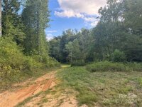 Settlers Lane, Waynesville, NC 28785, MLS # 4181028 - Photo #5