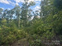 Settlers Lane, Waynesville, NC 28785, MLS # 4181028 - Photo #13