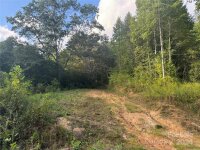 Settlers Lane, Waynesville, NC 28785, MLS # 4181028 - Photo #15