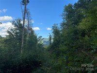 Settlers Lane, Waynesville, NC 28785, MLS # 4181028 - Photo #22