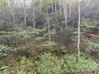 Settlers Lane, Waynesville, NC 28785, MLS # 4181028 - Photo #24