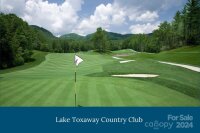 188 Club Colony Lane, Lake Toxaway, NC 28747, MLS # 4181709 - Photo #47