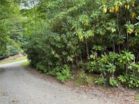 Sheepback Mountain Road, Maggie Valley, NC 28751, MLS # 4182533 - Photo #1