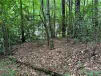 Sheepback Mountain Road, Maggie Valley, NC 28751, MLS # 4182533 - Photo #3