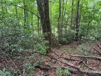 Sheepback Mountain Road, Maggie Valley, NC 28751, MLS # 4182533 - Photo #4