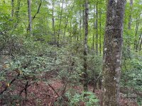 Sheepback Mountain Road, Maggie Valley, NC 28751, MLS # 4182533 - Photo #6