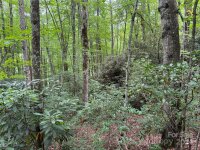 Sheepback Mountain Road, Maggie Valley, NC 28751, MLS # 4182533 - Photo #7