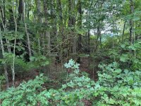 Sheepback Mountain Road, Maggie Valley, NC 28751, MLS # 4182533 - Photo #8