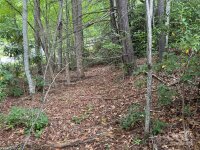 Sheepback Mountain Road, Maggie Valley, NC 28751, MLS # 4182533 - Photo #12