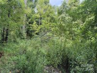 Sheepback Mountain Road, Maggie Valley, NC 28751, MLS # 4182533 - Photo #13