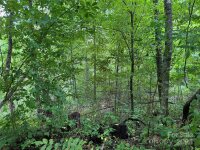 Sheepback Mountain Road, Maggie Valley, NC 28751, MLS # 4182533 - Photo #14