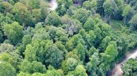 Curry Comb Trail, Waynesville, NC 28785, MLS # 4182930 - Photo #4