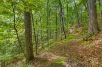 1198 Roaring Fork Road # 2 & 3, Burnsville, NC 28714, MLS # 4182989 - Photo #39