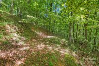 1198 Roaring Fork Road # 2 & 3, Burnsville, NC 28714, MLS # 4182989 - Photo #42