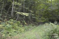 Bedford Road, Barnardsville, NC 28709, MLS # 4183257 - Photo #1