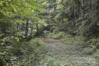 Bedford Road, Barnardsville, NC 28709, MLS # 4183257 - Photo #3