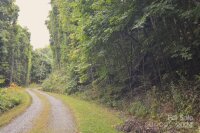 Bedford Road, Barnardsville, NC 28709, MLS # 4183257 - Photo #5