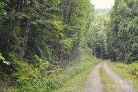 Bedford Road, Barnardsville, NC 28709, MLS # 4183257 - Photo #6