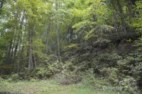 Bedford Road, Barnardsville, NC 28709, MLS # 4183257 - Photo #9