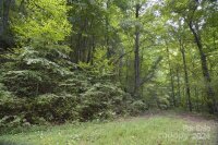 Bedford Road, Barnardsville, NC 28709, MLS # 4183257 - Photo #10