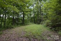 Bedford Road, Barnardsville, NC 28709, MLS # 4183257 - Photo #11