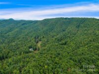 388 Hard to Find Drive, Brevard, NC 28747, MLS # 4183327 - Photo #4